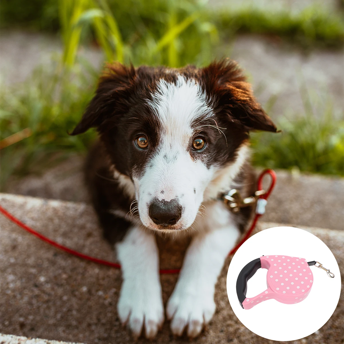 

3-5M Retractable Dog Leash Pet Lead 20-45kg Tension Control for Large Medium Small Dogs Comfortable Handle Reflective for Daily