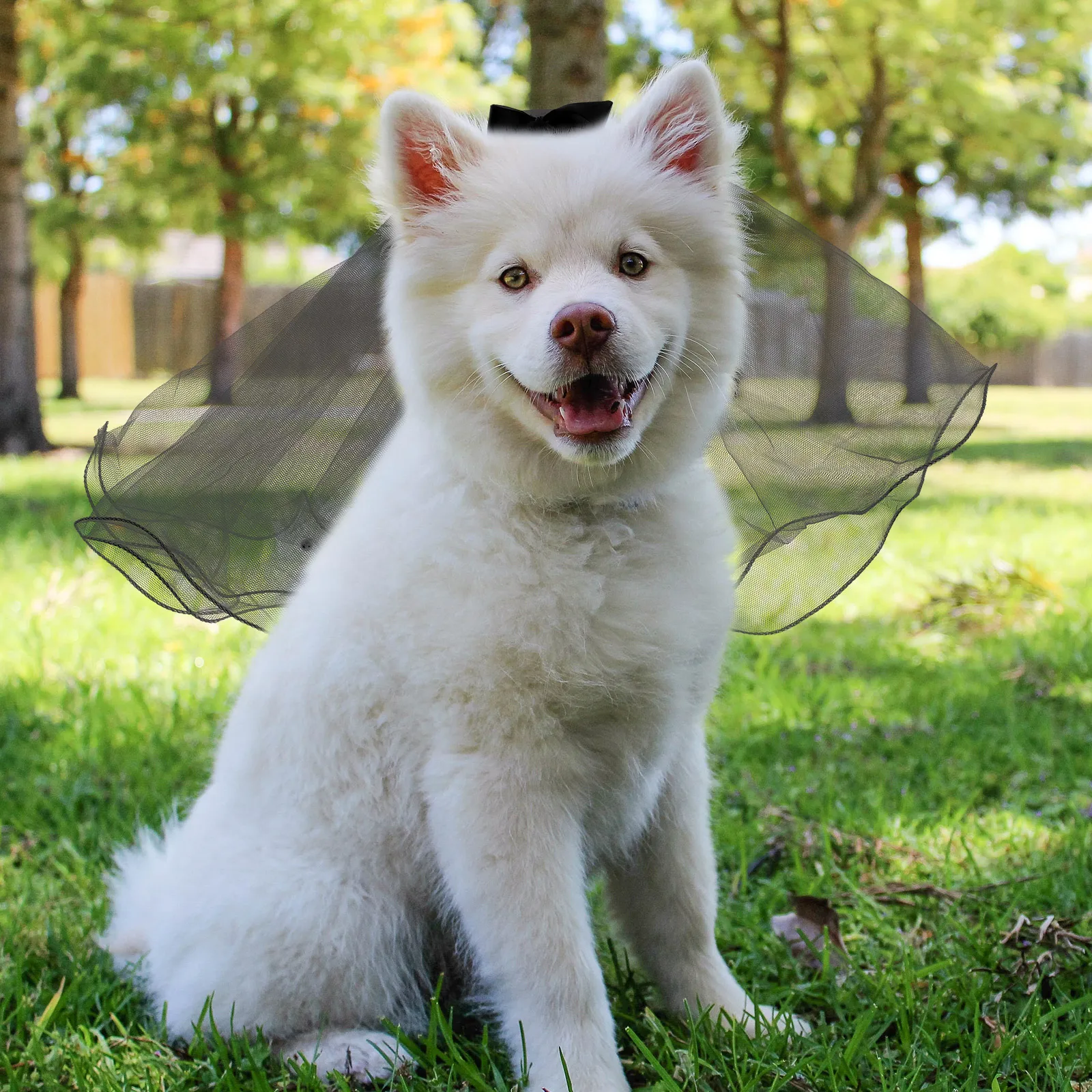 

Wedding Pet Veil Gauze Bowknot Hairpin Dog Cat Bridal Lightweight Veil Party Headwear Decoration Cat Bridal Headdress