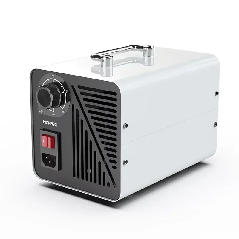 Sale Room Pet Smell Clean Air Purifier High Capacity 40000 mg Ozone Machine Air Ion Generator for Home Office