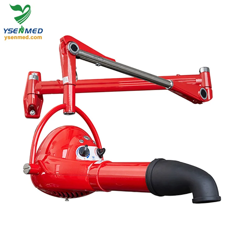 Coofull Fashion Design Wall Mounted Brushless Motor Animal Hair Dryer with Large Wind Speed YSTD-905