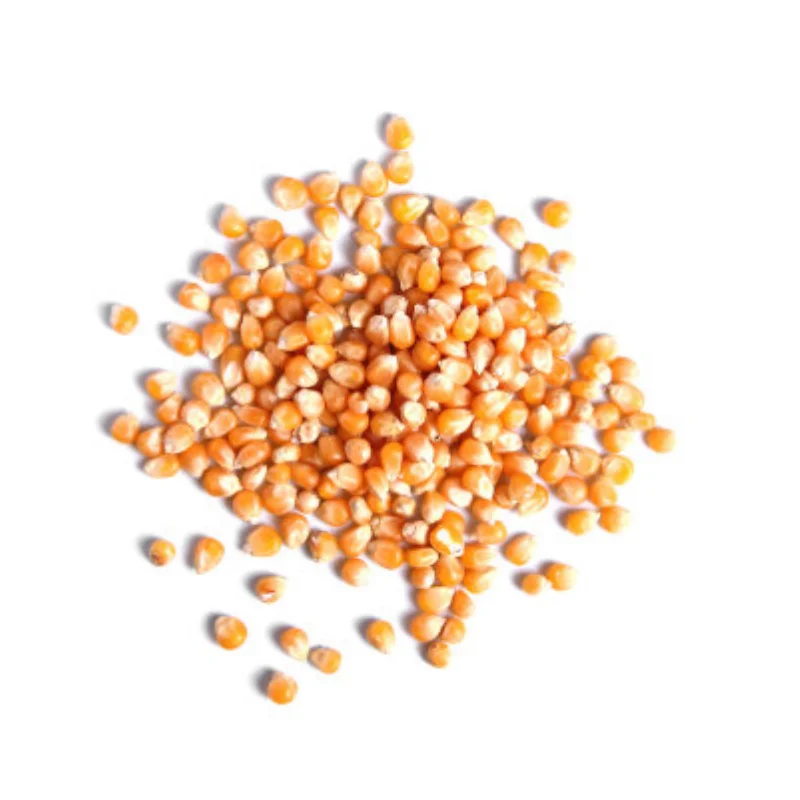 RC 120MM 1.9 "Pneus de pedras de borracha para 1:10 RC Rock Crawler Axial SCX10 Canyon Trail Trax TRX4 TRX6 # 8174