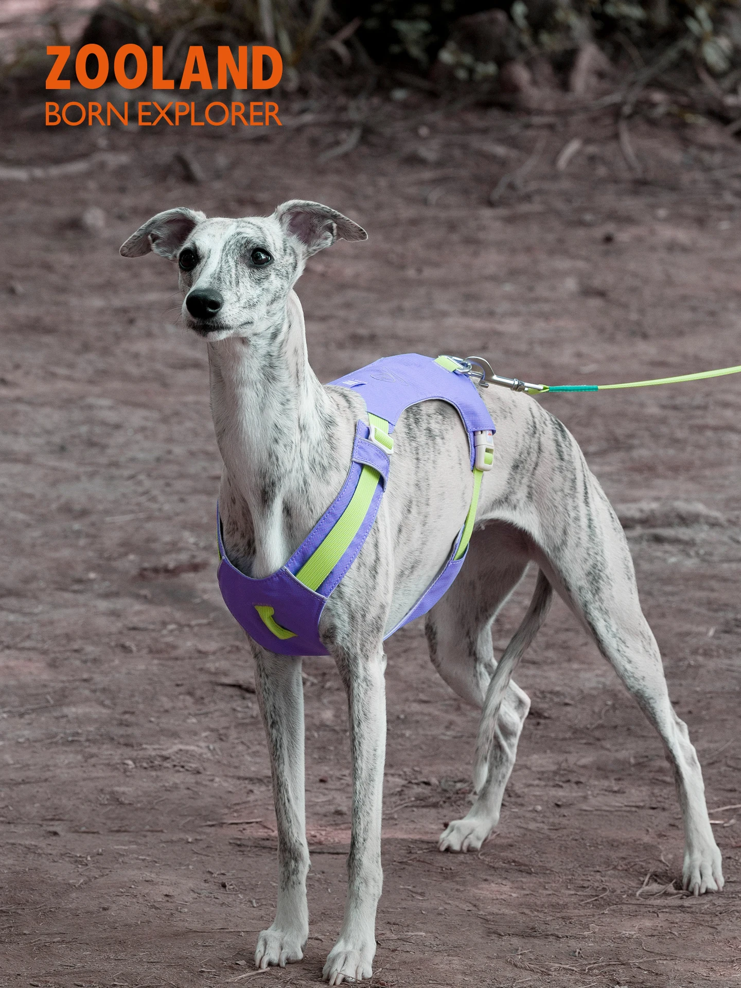 Zooland Dog Lea Pol…