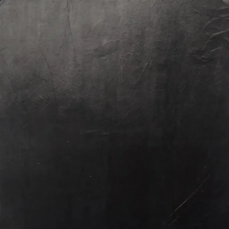 Рисунок 4 - Углеродная нанотрубная пленка