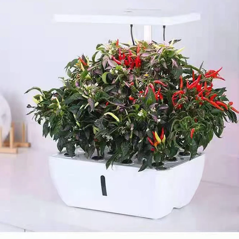 

Smart WIFI Mobile Phone Remote Control Hydroponic System Soilless Cultivation Charging Models Can Be Timed