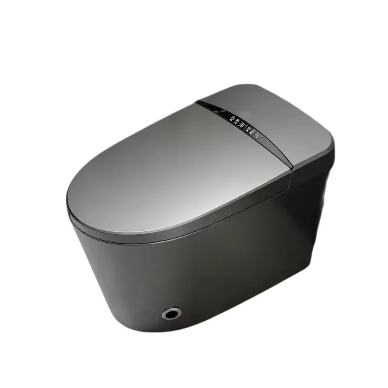 

Sanitary ware smart bidet toilet smart water tank floor rack WC gray smart toilet