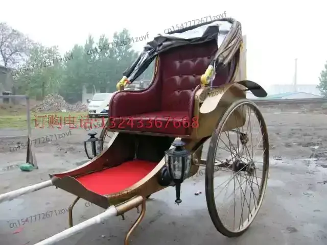 750 watt brushless car tricycle rickshaw 5-seat bicycle taxi tricycle with damped front fork