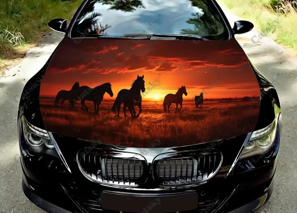 

Horses Running in The Orange Sunset Car Hood Decal Truck Decals Vinyl Sticker Graphic Wrap Stickers Trucks Cars Bonnet Vinyls