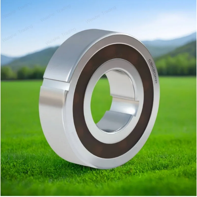 

One-way bearings CSK 8 10 12 15 17 20 25 30 35 40 45 50 60 65 PP