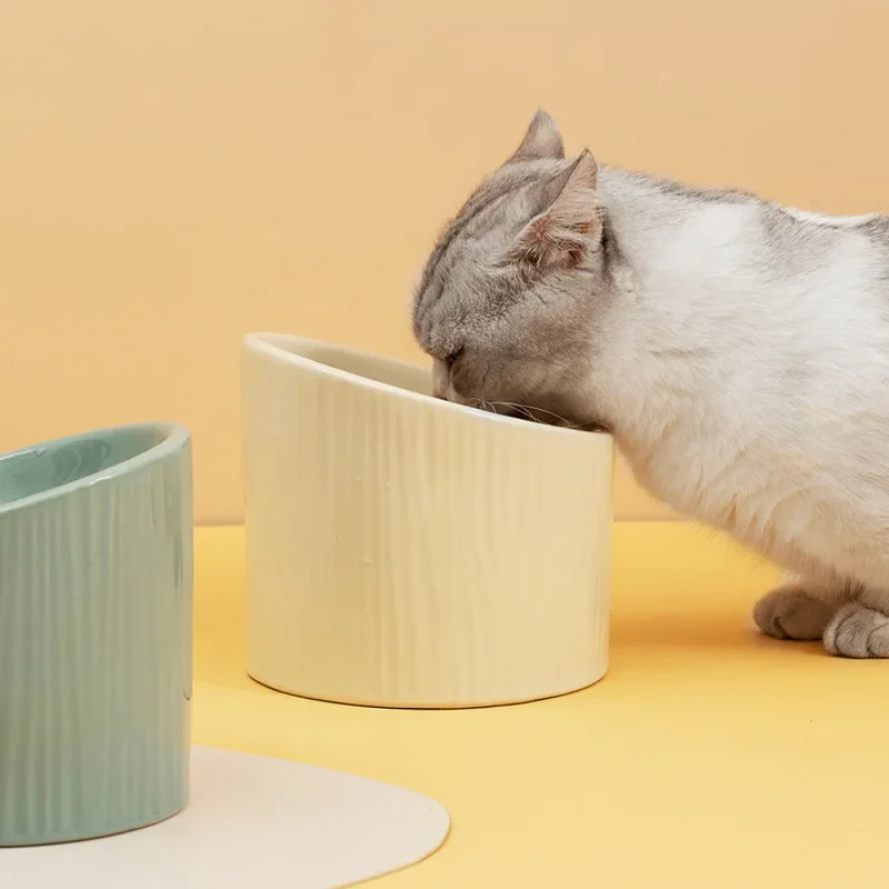 Imagem -02 - Tigelas de Coluna Cervical para Animais de Estimação Alimentador de Água e Alimentos Protetor para Pés Elevados Cães e Gatos Bebendo Acessórios