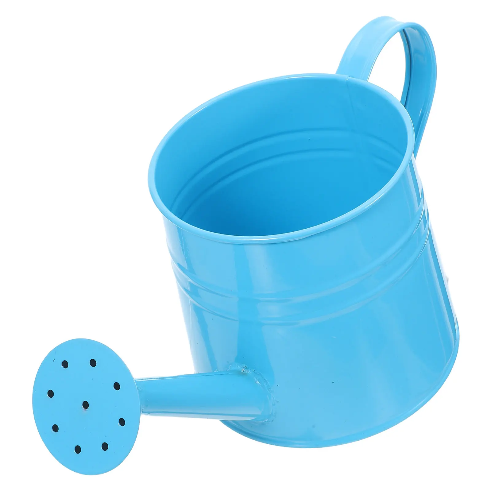 Small Metal Watering Can with Sprinkler Head Portable Indoor Outdoor Gardening Pot for Succulents Flower Care Decorative Garden