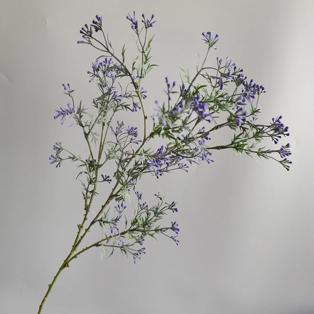 5 Stück/Set Künstliche 5-Zweigige Sellerie-Blumen, Gypsophila, Kunstblumen für Hochzeitsdekoration, Party, Blumenarrangement, Bouquet, Wohnaccessoires – Detail 7