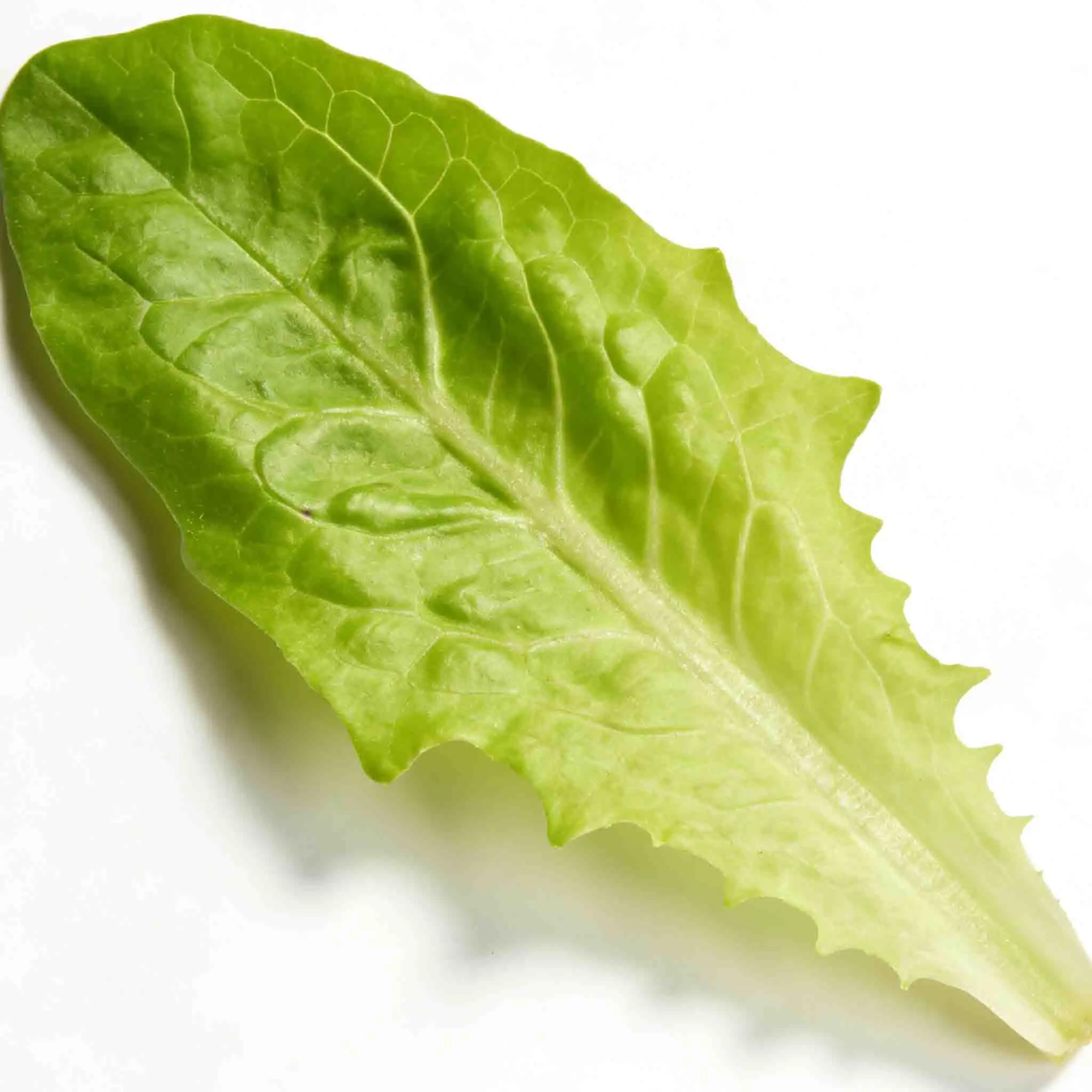 

GEPRC SPEEDX2 1002 25000KV 18000KV Двигатель Подходит T-Cube18 Дрон DIY FPV Квадрокоптер Фристайл 1,6-2 дюймов Аксессуары для дронов RC