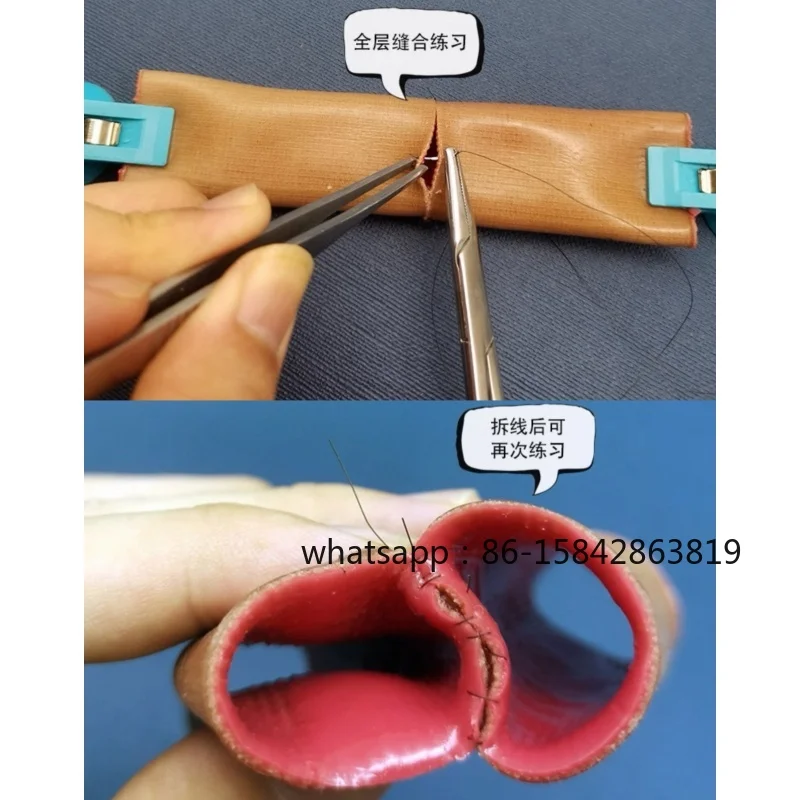 Intestinal Anastomosis Suture Training Model Reusable Intestinal Anastomosis Suture Technique Practice Students Teaching Tools