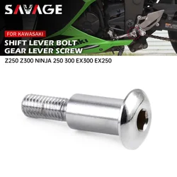 Left Shift Lever Bolt For KAWASAKI NINJA 250/R EX250 NINJA 300 EX300 Z250 Z300 2013-2018 Motorcycle Gear Shift Pedal Mount Screw