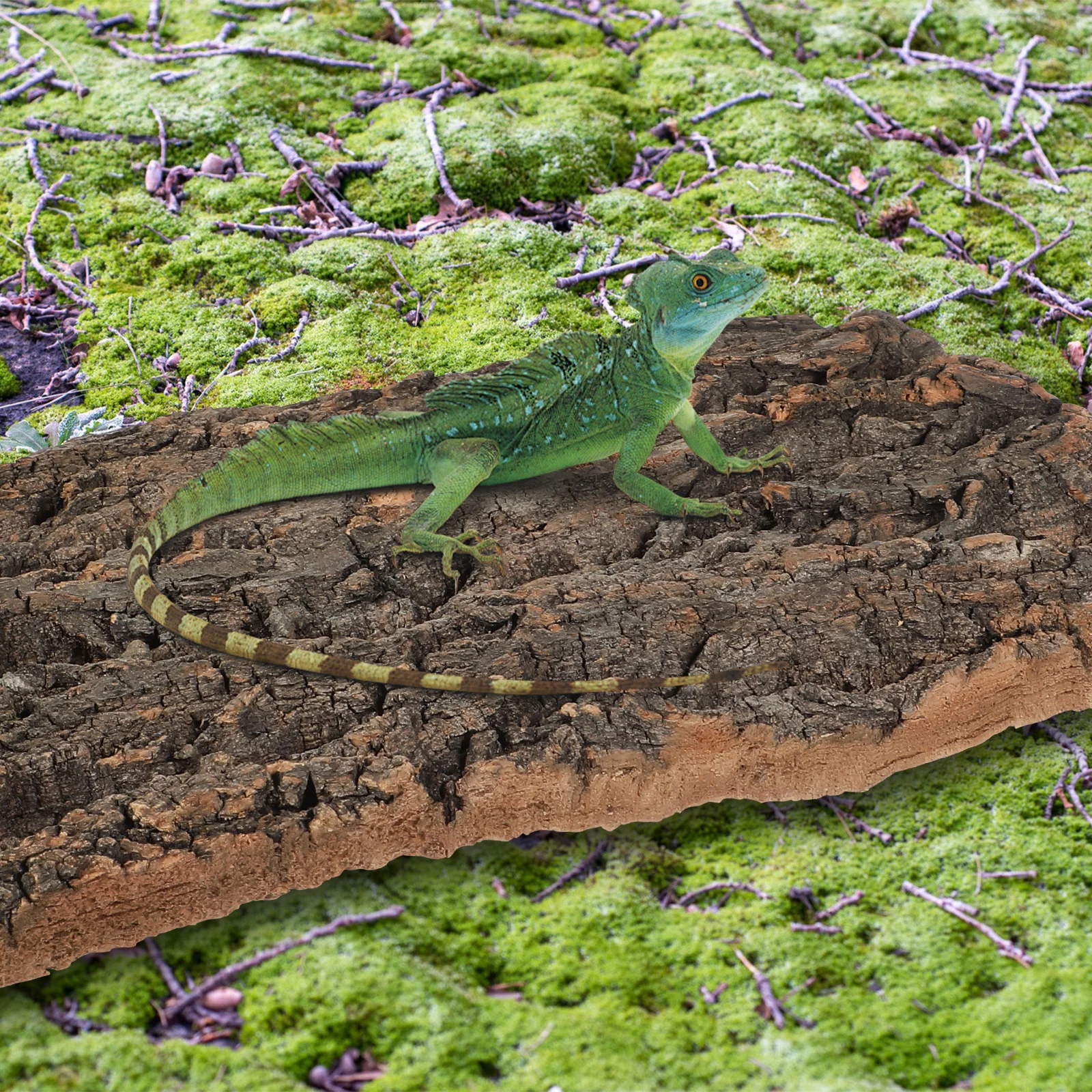 

2Pcs Aquarium Ornaments Cork Bark Reptile Climbing Decor Bearded Dragon Habitat Fish Tank Decor Goldfish Tank Decorations