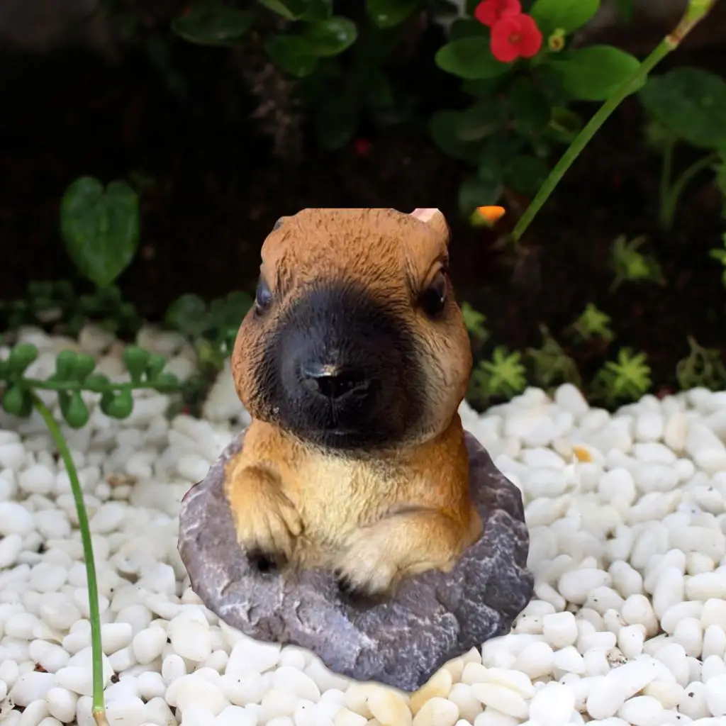 

Garden Groundhog Statue Collecting Lawn Ornament for Backyard Balcony Patio