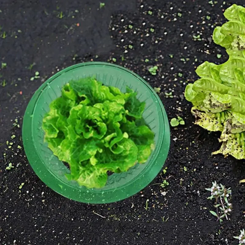 10Pcs Snail Protection Collar Snails Protection Rings Garden Cloche Slug Rings Plant Covers Protectors for Salad Plants Cabbage