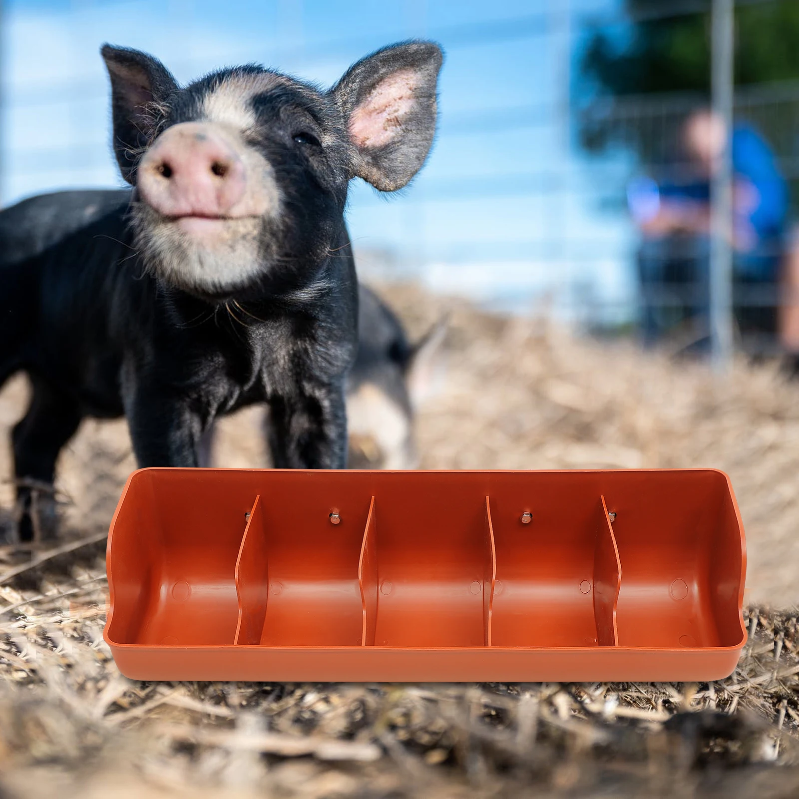 

Piglet Feeding Trough 5 Holes Orange Color Durable Material Suitable for Farms Holding Water Food Pet Supplies