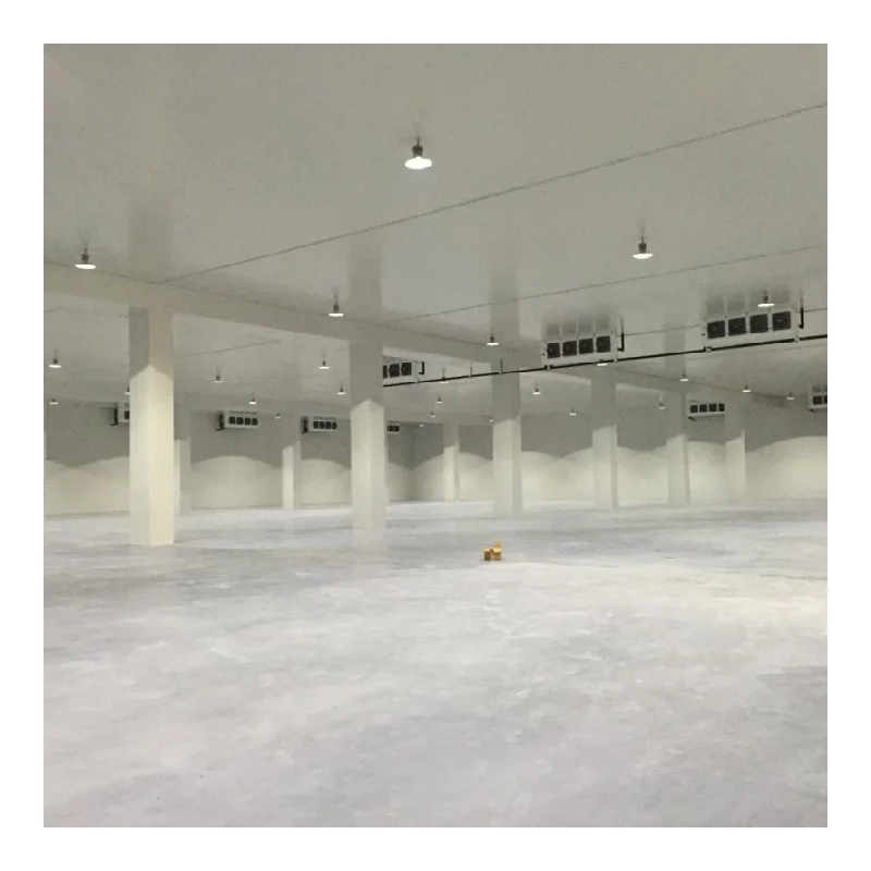 Customized Industrial Cooler Freezer Storage Transport Cool Room Freezer  Room Walkin Cooler Factory Direct Sales