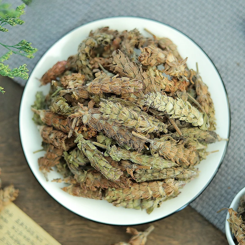 برونيلا المذبذبة