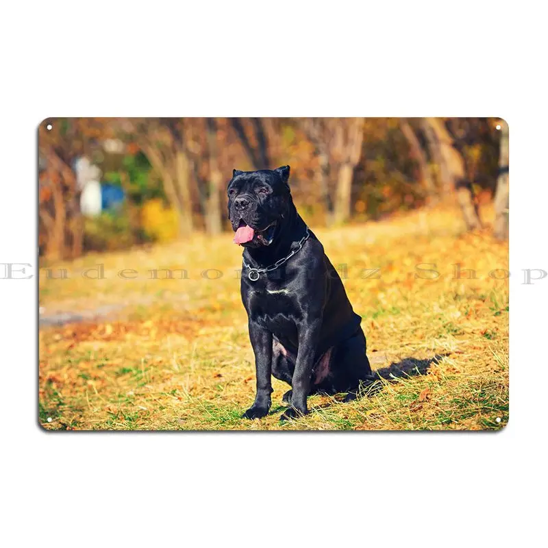 Portrait Of Cane Corso Ita Metal Sign Printing Party Designing Printing Cinema Tin Sign Poster