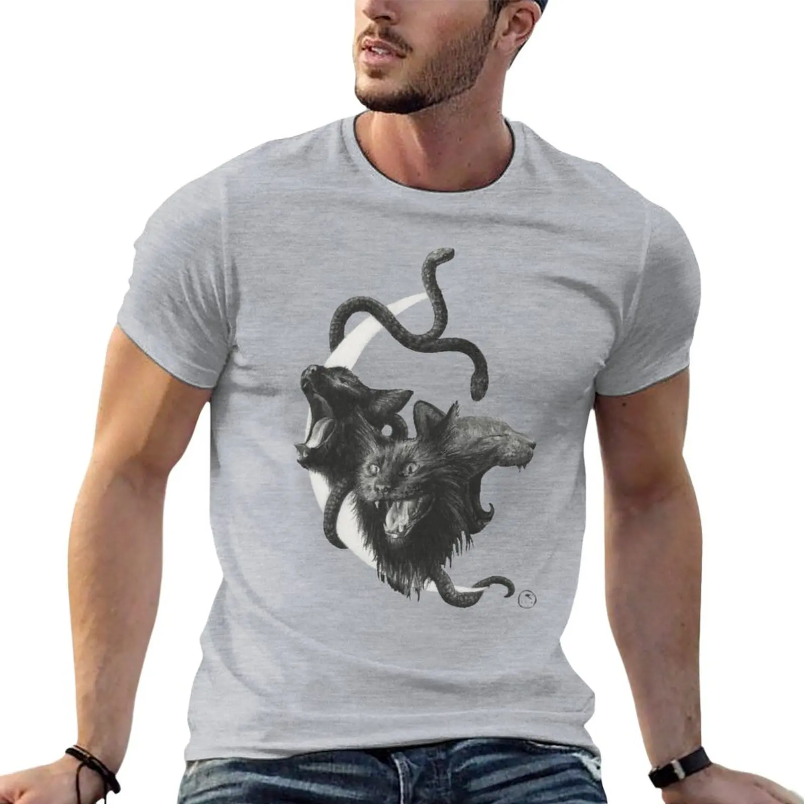 Harpies T-Shirt Short sleeve man clothes mens graphic t-shirts