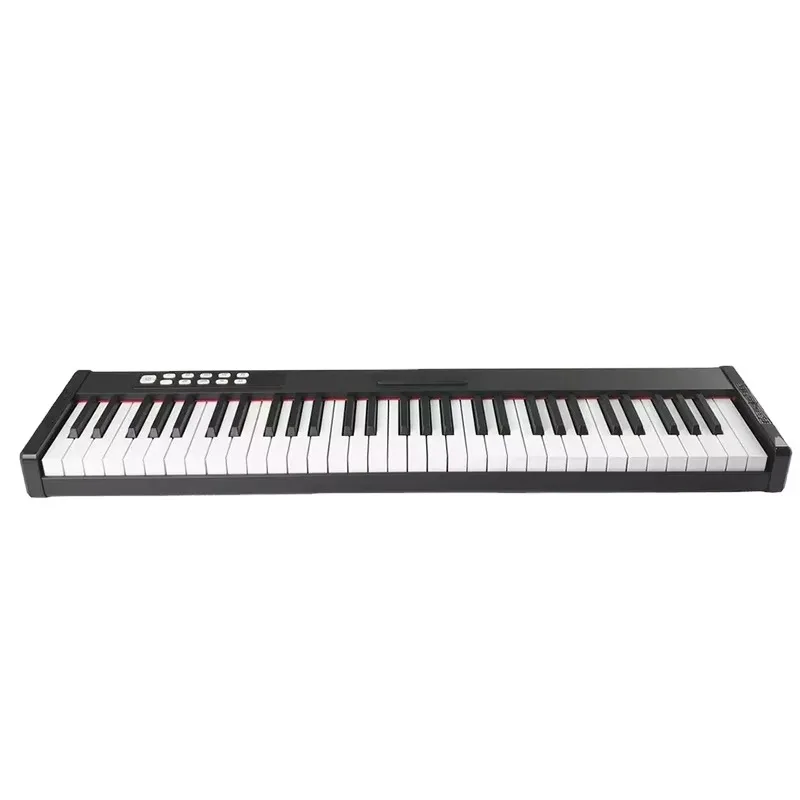 Professional Digital Electronic Piano 61 Key China Teclado De Piano Digital (DP61)
