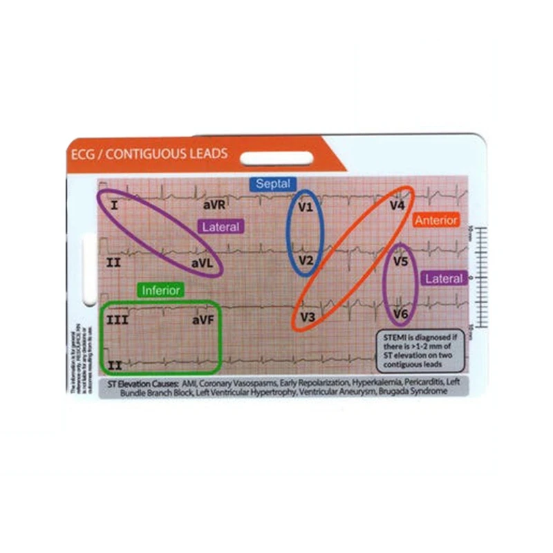 ABMR-STEMI 12 أداة الرصاص شارة مرجعية أفقية بطاقة الهوية ، EGG موصلات متصلة أداة قياس دقيقة منزلية