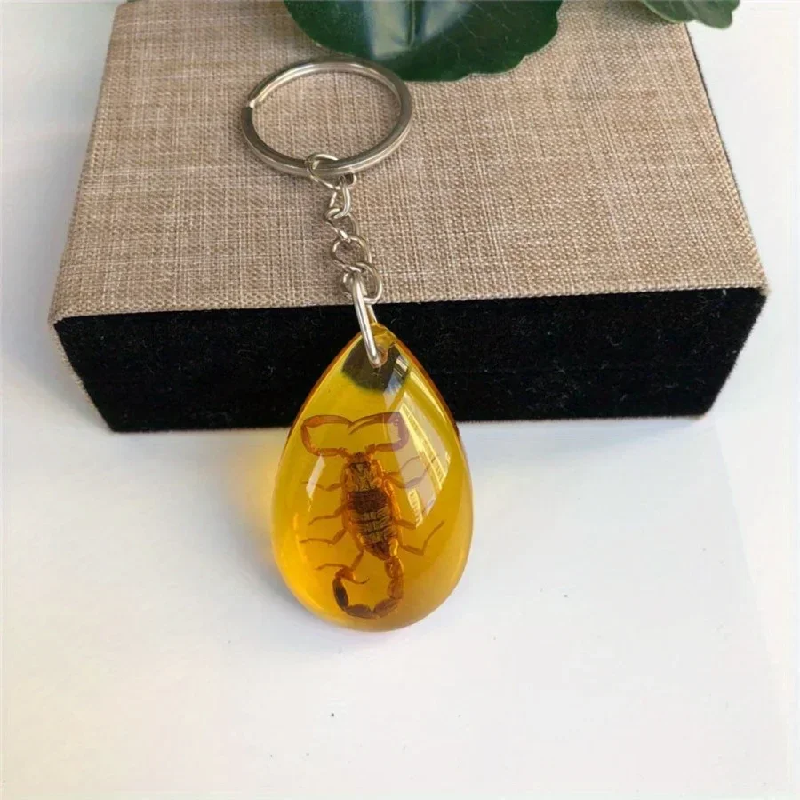 1PC Insect Specimen Amber Keychain Hanging Small Gift Car Key Bag Keychain Hanging Ornament