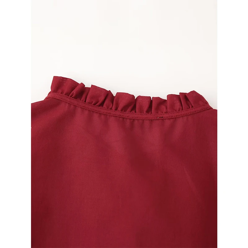 Primavera 2025 blusa de camisa con bordado floral y cuello en V de manga larga para mujer