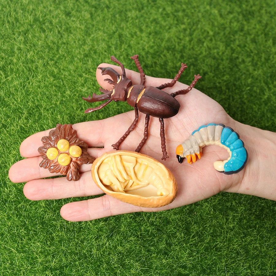 Simulation Animals Ladybug,Butterfly,Frogs,Turtle,Ant,Mosquito,Chicken Growth Life Cycle Figurines Model Action Figures Toy