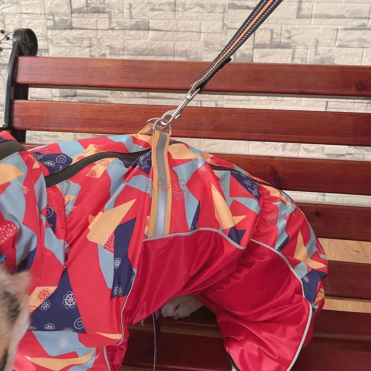 Corgi dog all inclusive four legged raincoat medium-sized dog pet dog belly guard tractable waterproof clothes in rainy days