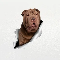 Y492# Car Sticker Shar Pei Dog Pet Animal Waterproof Vinyl Decal Car Accessories Decor Pegatinas Para Coche