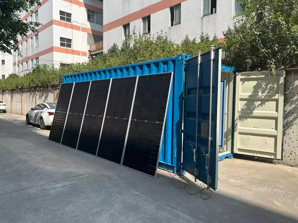 Robust 20ft Solar Powered  Cold Storage Container for Agricultural Produce Chambre Froide Solaire for Fish Meat Fruits Vegetable