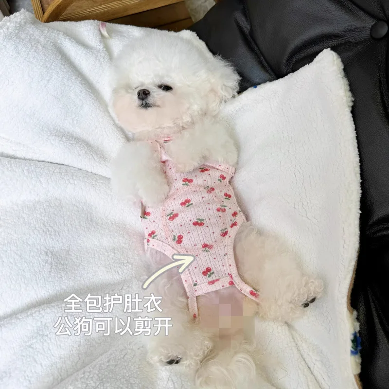 

Cute Dog Clothes for Spring Summer, Lace Trim Tank Top for Poodle & Pomeranian, Pet Lounge Wear