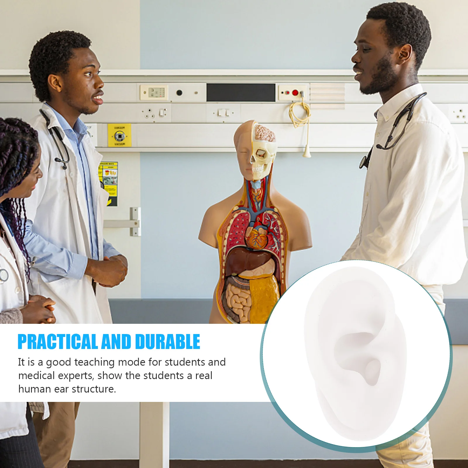 Silicone Ear Model Simulation Display Jewelry Earring Piercing Practice Tool Body Parts