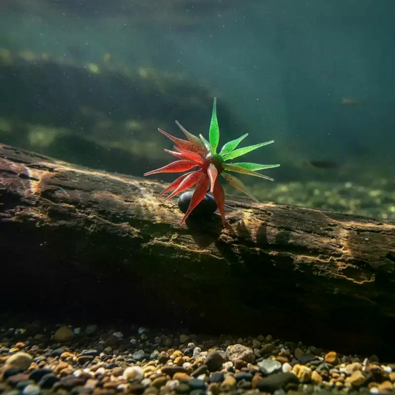 Dual-color Soft Lure Sea Urchin Soft School‑of‑Fish Lure Multi‑Tentacle Rig Fish Type Bass Pike Predatory Fish Bait