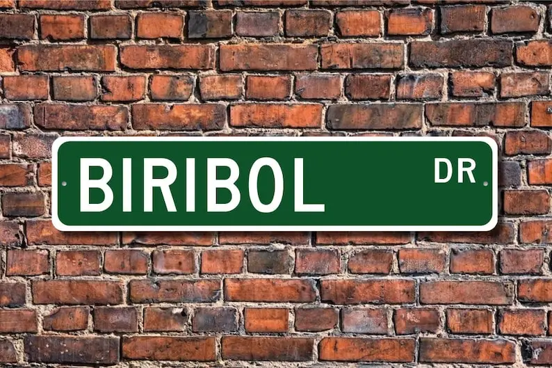 Biribol, Biribol Gift, Biribol Sign, Brazilian sport, aquatic version of volleyball, Biribol lover, Custom Street Sign, Quality