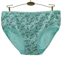 Cotton Underwear Women Panties Plus Size Briefs High Waist Knickers Female Underpants Woman Intimate 2XL 3XL 4XL 3 Pieces/Lot 2