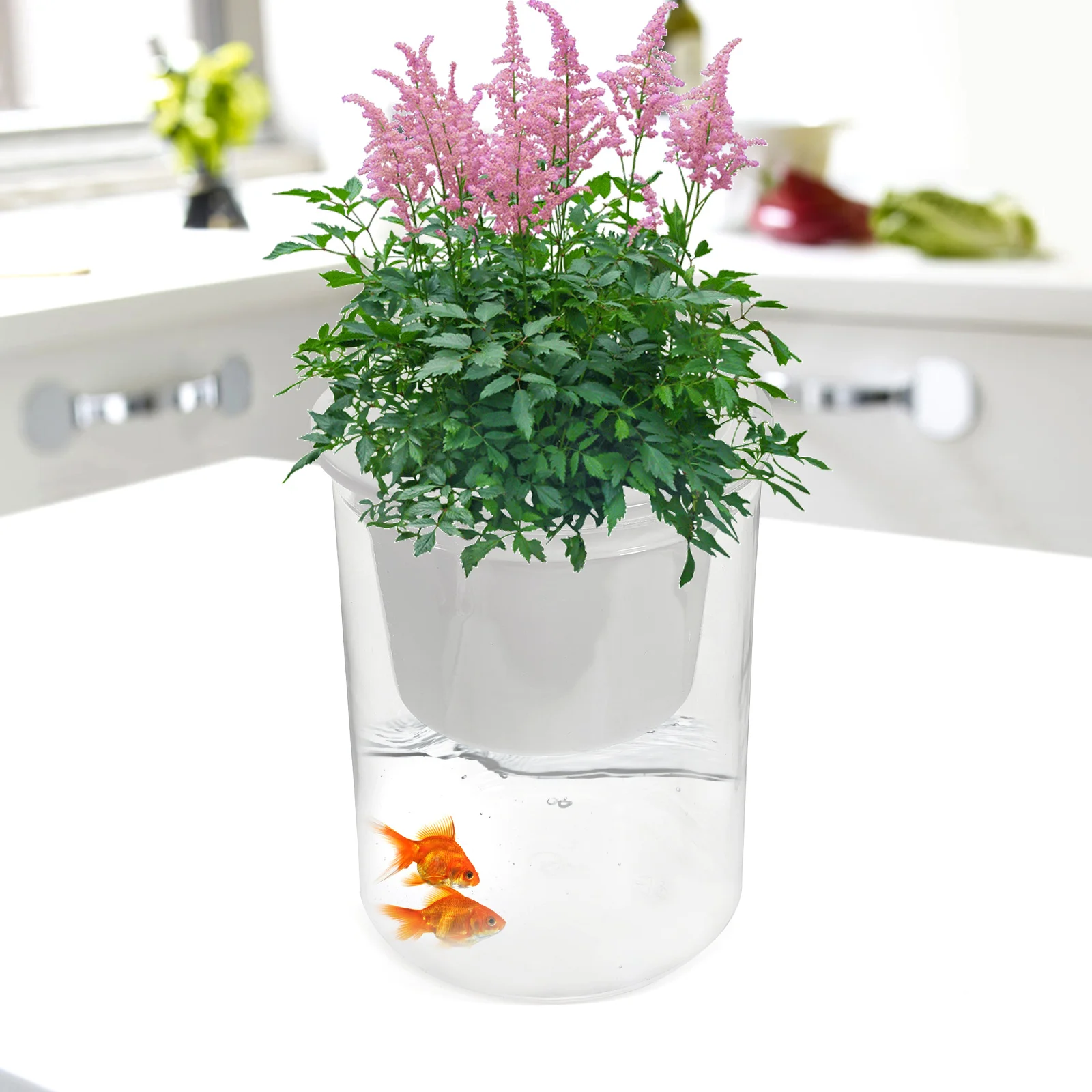 

Automatic Water Absorbent Flower Pot Planter Fish Tank Self Indoor Plants Watering Pots Aquarium Planters for Household