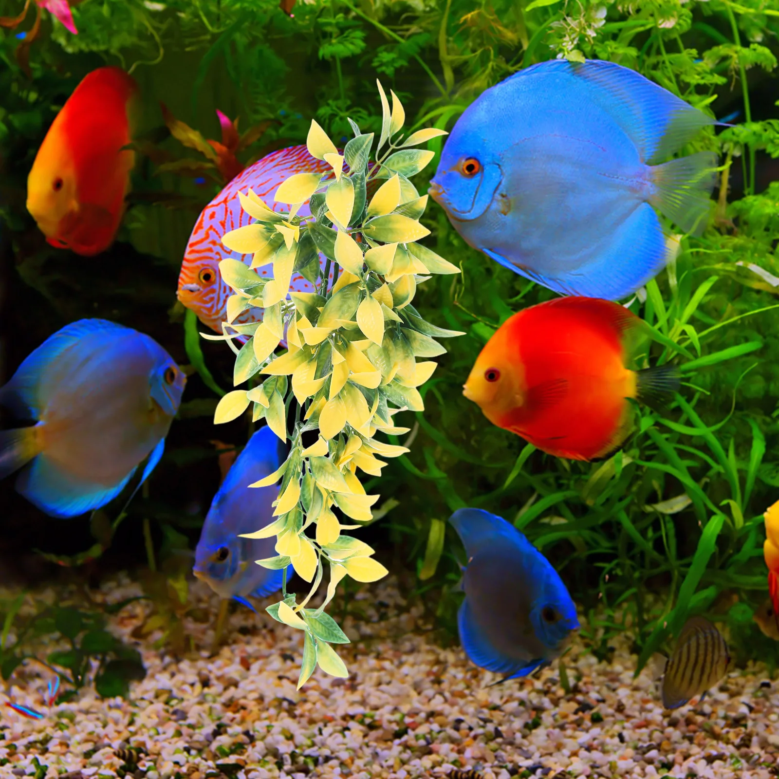 Vines For Reptile T…