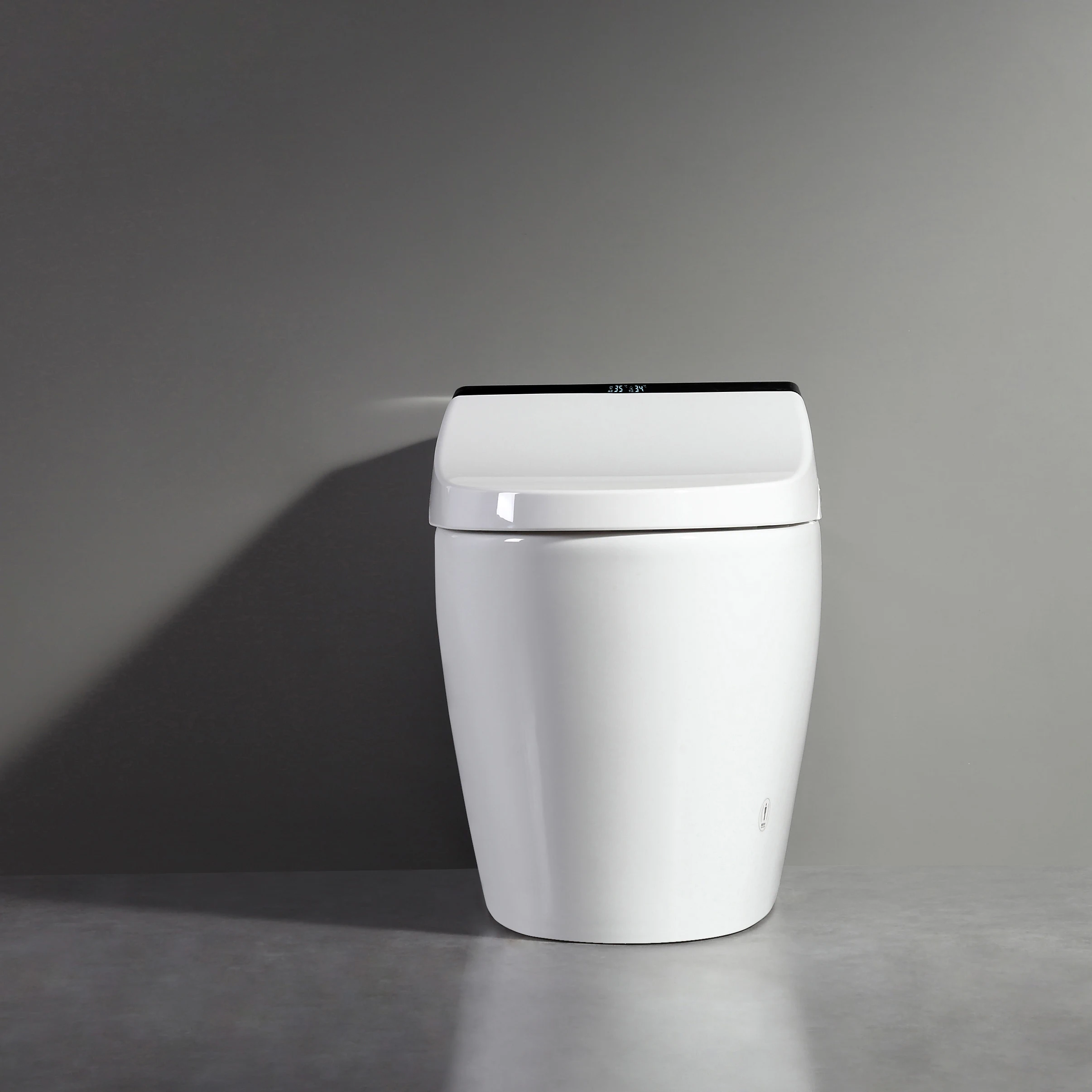 xx-Luxury  Intelligent Toilet Foam Shield Anti-Splash Heated Seat Remote Control Included Floor Mounted For Bathroom Use^