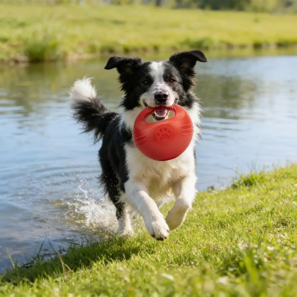 

Kettlebell Floating Dog Toy,Bite-Resistant Plastic,Teeth Cleaning,Safe Interactive Outdoor Training Play for Puppies
