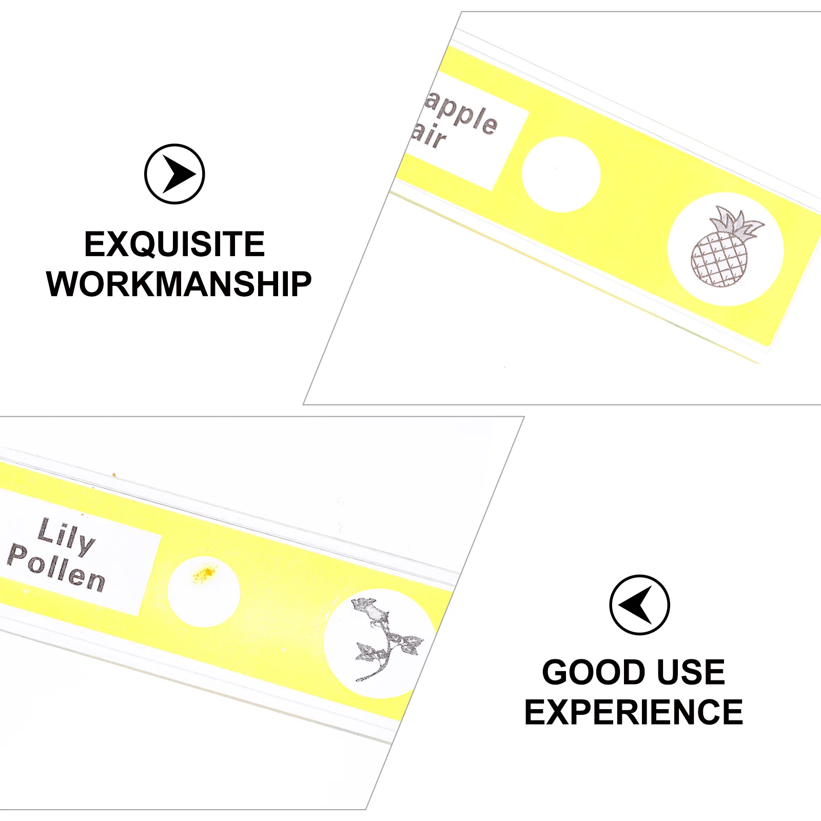 12 vetrini per microscopio preparati per bambini, campioni di piante in plastica sicuri, raccolta di campioni facili da usare, biologia di livello d'ingresso