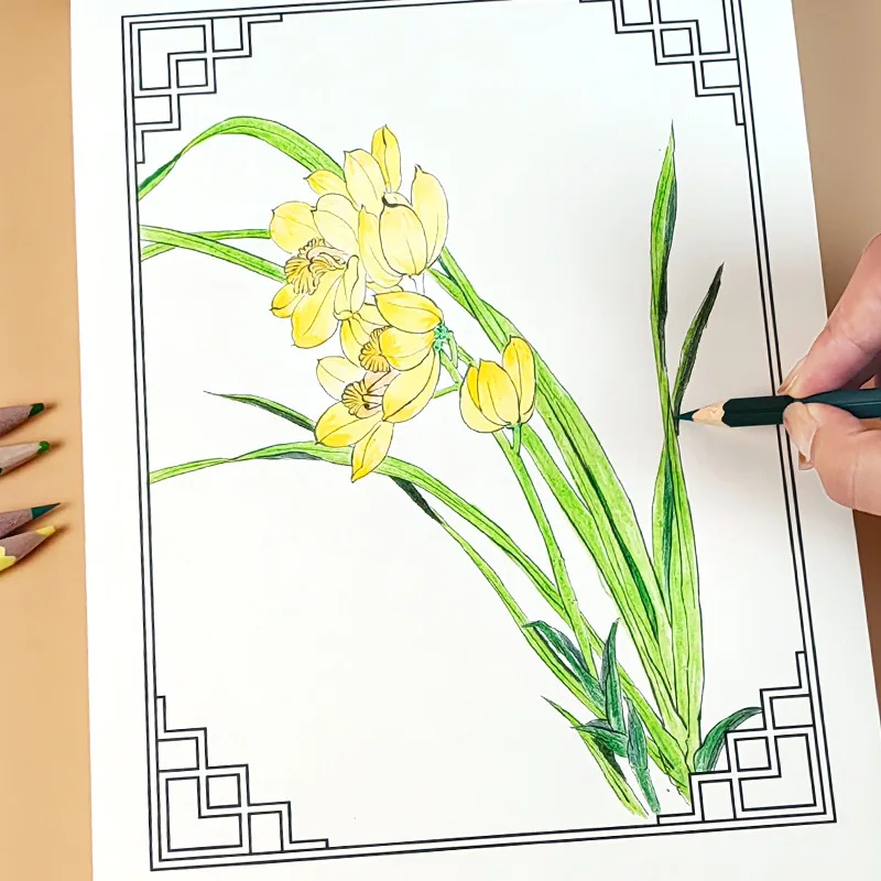 Chinese White Sketching Copy, Animal, Human, Flower, Landscape Meticulous Painting, Large White Sketching Draft
