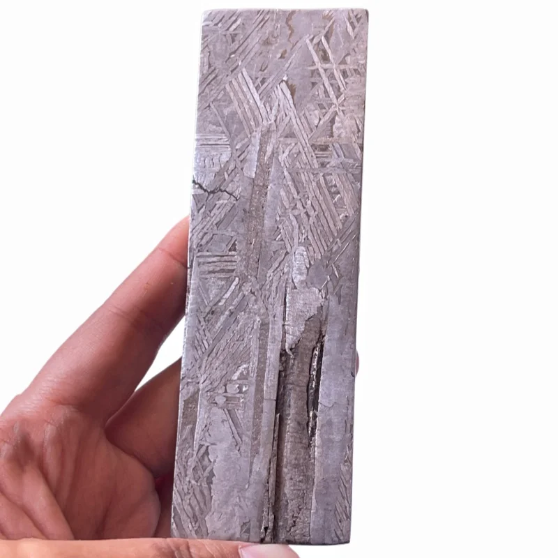 Muonionalusta Iron Meteorite Slice Etched Widmanstatten Pattern Specimen With Natural Crust Mineral Collection Display CC263