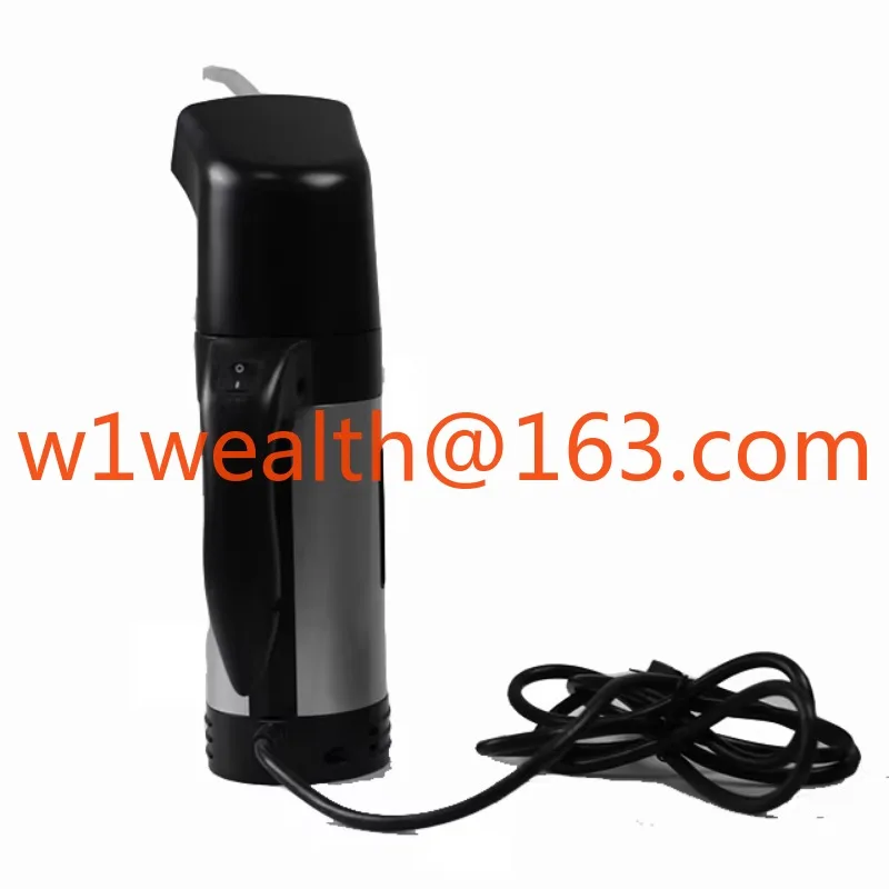 Portable Hair Steamer Handheld Travel Garment Steamer Wig Steamer