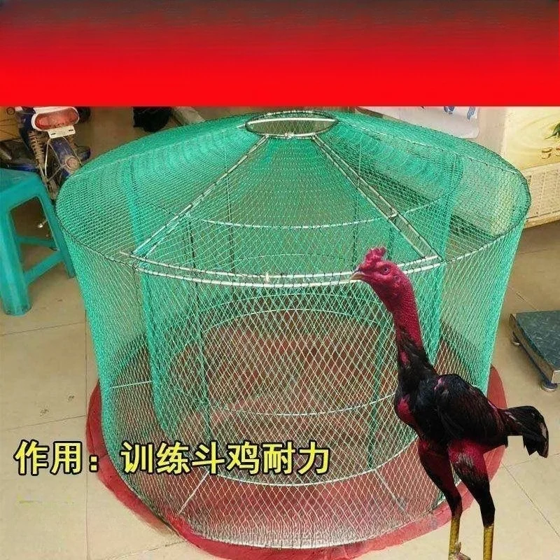 Cage Fight Chicken Fight Chicken Run Dragon Folding Training Folding Run