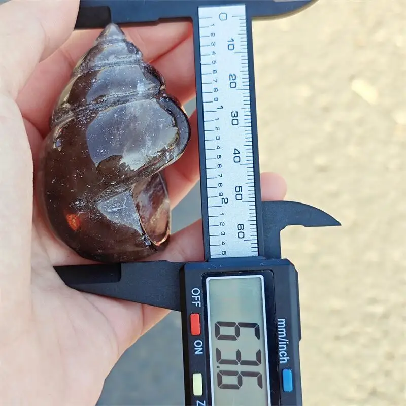 Natural Smoky Quartz Seashell Carving Mercy Healing Fengshui Hand-carveda Statue For Home Office Decor Gift 1PCS