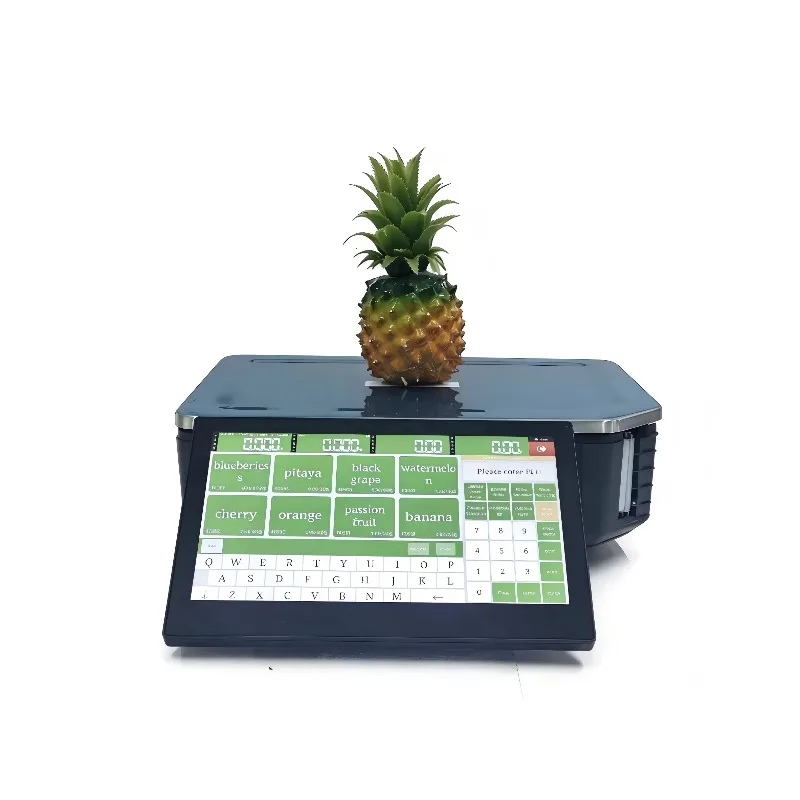 All-In-One AI Smart Scale Dual Screen Touch POS System Cash Register Payment Machine Weighing Function 10L Capacity Food